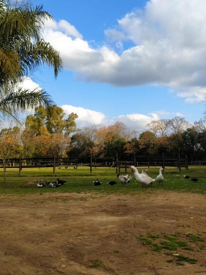 Finca La Pasionaria - Conectándonos Villa Belén de Escobar Exterior foto